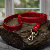 Waterproof BioThane® Dog Leash - Crimson