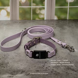 Fi Series 3/3+ Compatible Buckle Collar and Leash Walk Set
