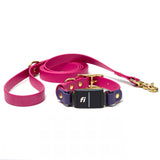 Fi Series 3/3+ Compatible Buckle Collar and Leash Walk Set