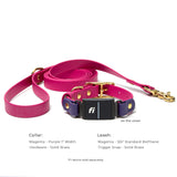 BioThane Fi Series 3/3+ collar and leash set in magenta and purple, 3/4" leash and 1" collar with brass hardware