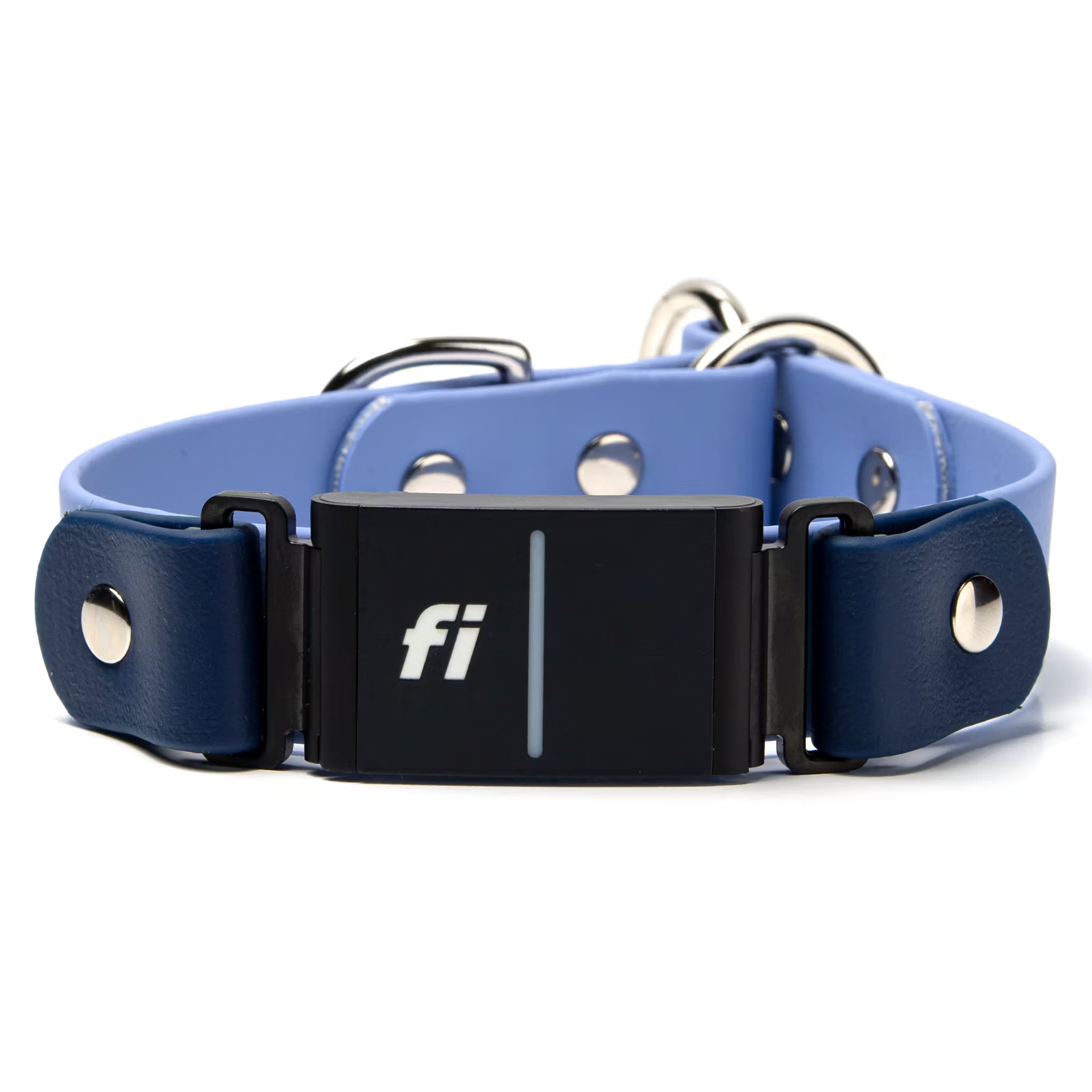 Blue dog collar with a black buckle featuring the 'fi' logo on a white background