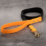 BioThane® Waterproof Two-Tone Dog Leash