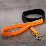 BioThane® Waterproof Two-Tone Dog Leash