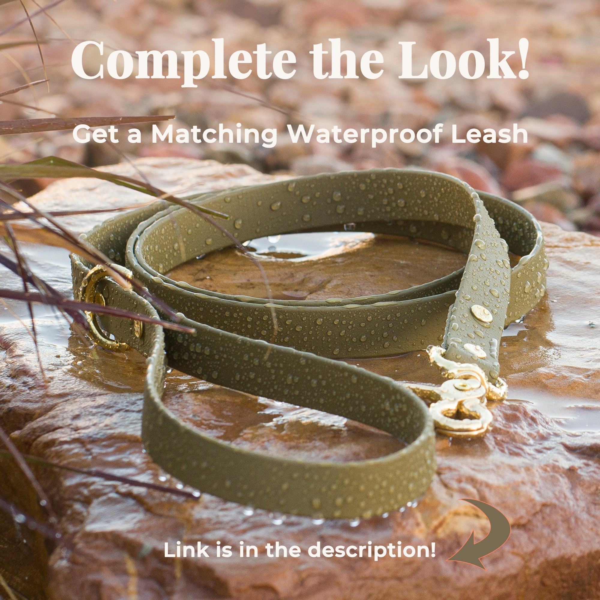 Vivid Canine BioThane® waterproof dog leash, olive brass snap - matching buckle dog collar available