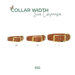 three different sizes of brown leather dog collars, each with a gold buckle, arranged in a row.