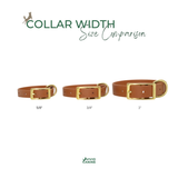 three different sizes of brown leather dog collars, each with a gold buckle, arranged in a row.