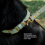 Sage colored Biothane Dog collar and leash with solid brass hardware on a black dog, with text describing product details.