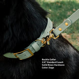 Sage colored Biothane Dog collar and leash with solid brass hardware on a black dog, with text describing product details.