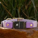 Fi Series 3 Compatible - BioThane® Waterproof Buckle Collar