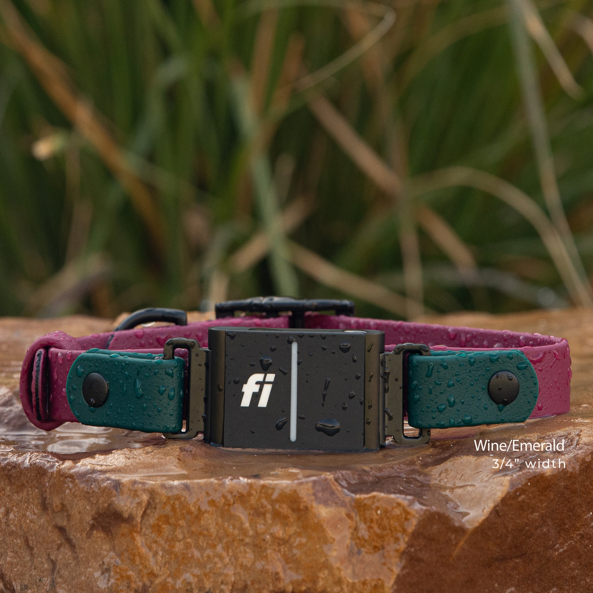 Fi Series 3/3+ compatible BioThane waterproof buckle collar in wine red and emerald green