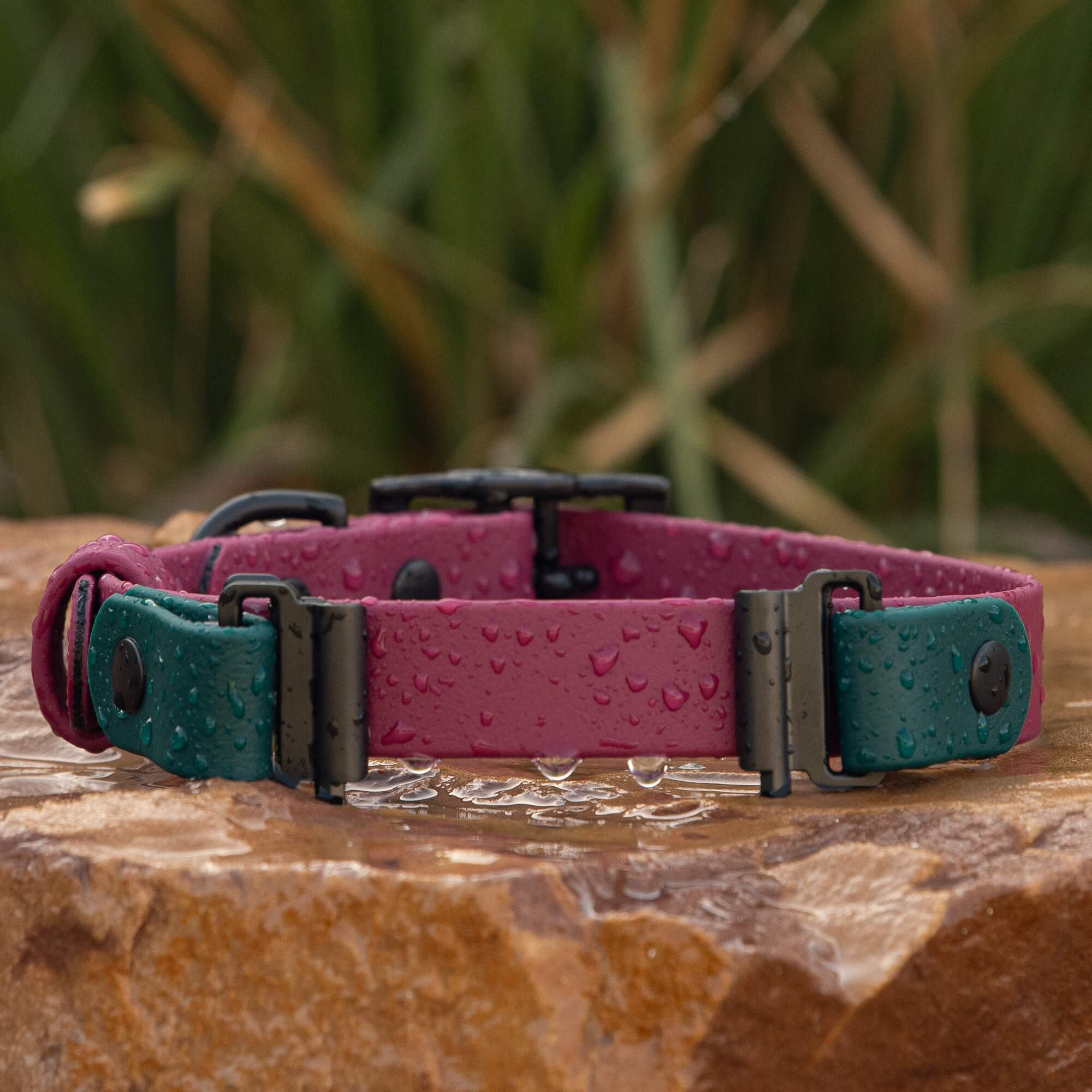 Fi Series 3 Compatible - BioThane® Waterproof Buckle Collar
