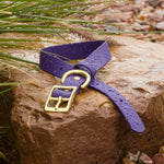 Vivid Canine BioThane® Purple buckle dog collar hardware close-up