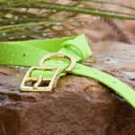 Close-up of Lime BioThane® buckle dog collar with brass buckle hardware