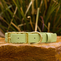 Vivid Canine BioThane® waterproof buckle dog collar matcha - durable outdoor pet gear available in XS-XL sizes