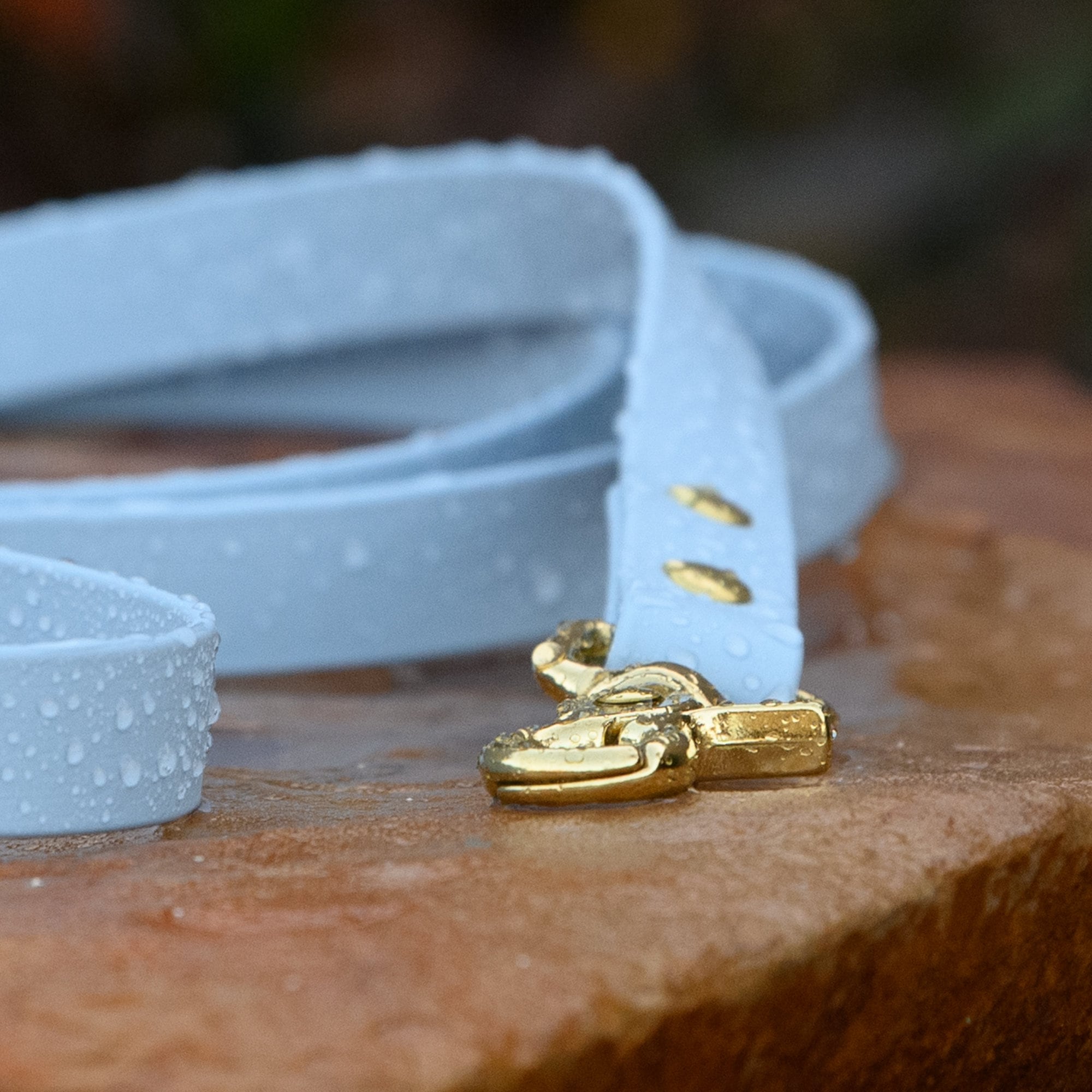 BioThane® Waterproof Dog Leash - Pastel Blue