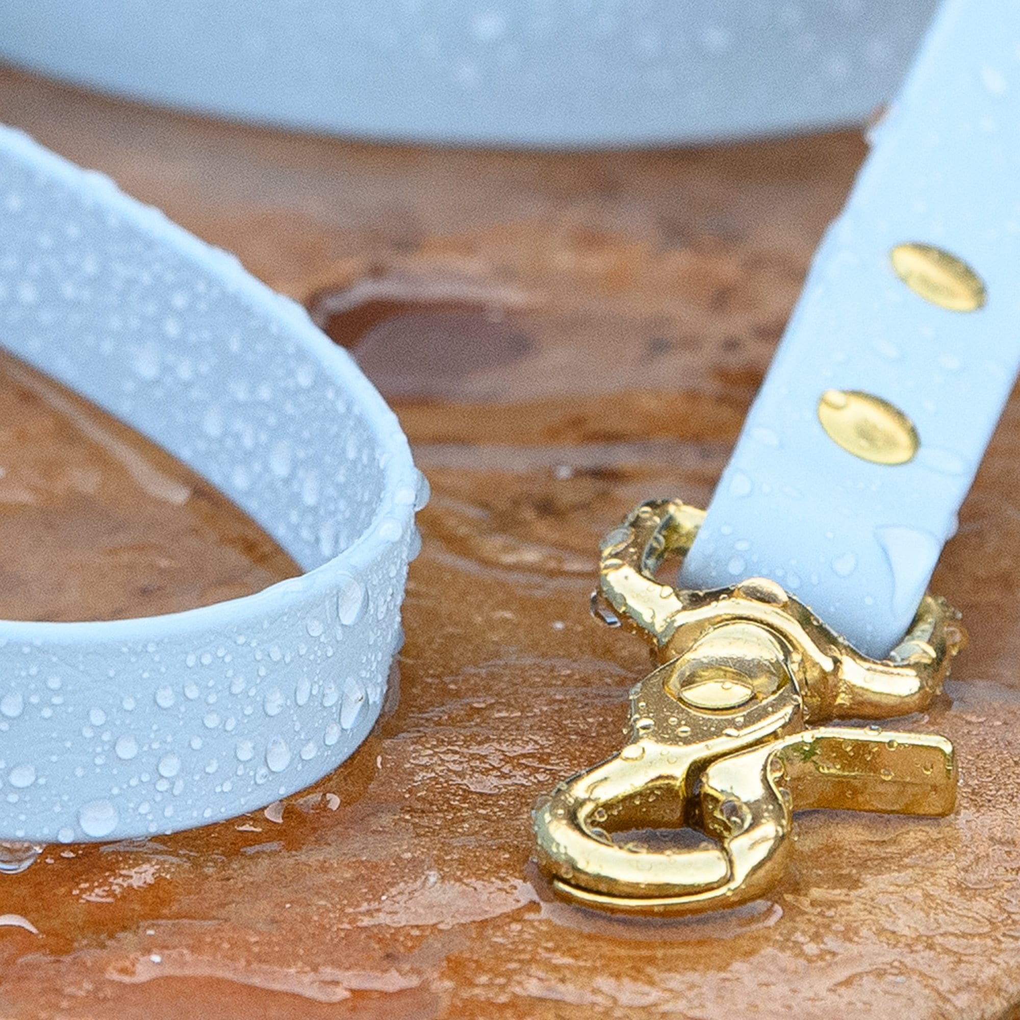 BioThane® Waterproof Dog Leash - Pastel Blue