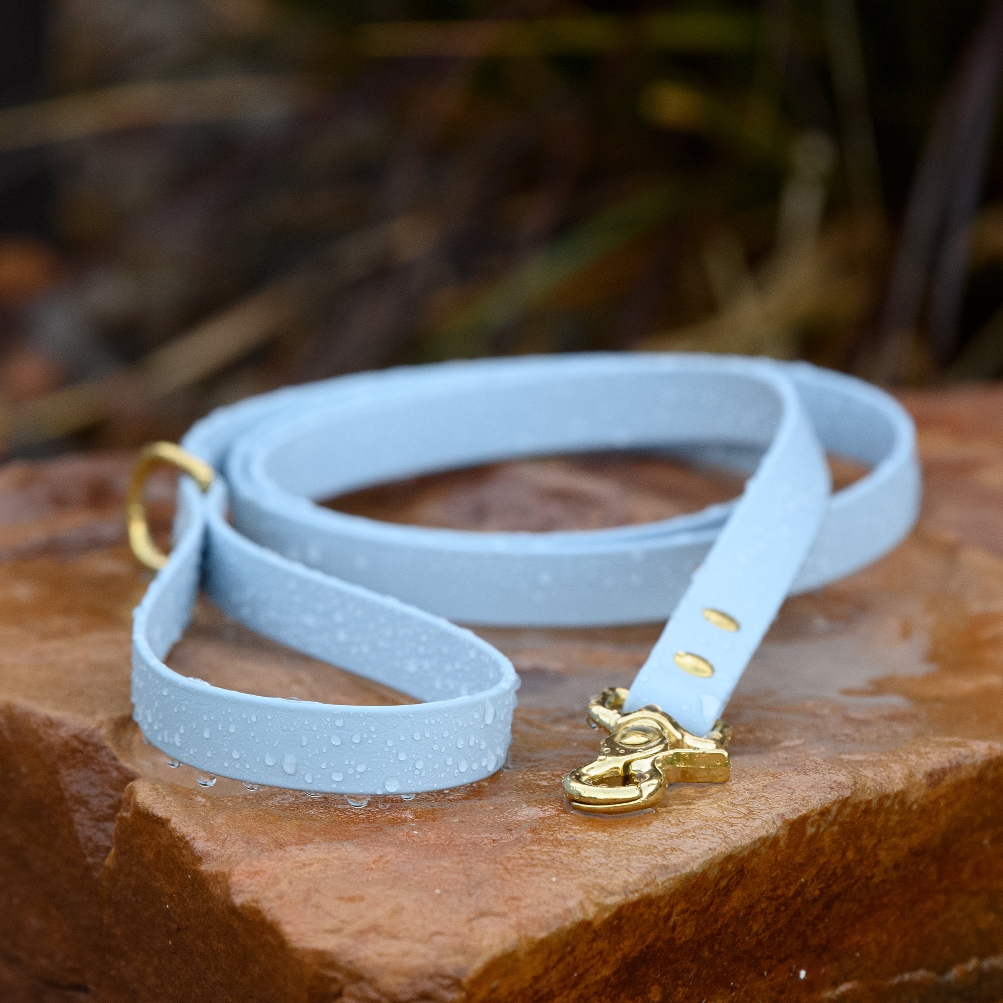 BioThane® Waterproof Dog Leash - Pastel Blue