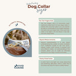 BioThane® Waterproof Buckle Dog Collar - Dusty Turquoise