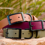 Vivid Canine BioThane® waterproof buckle dog collars black hardware - multiple sizes