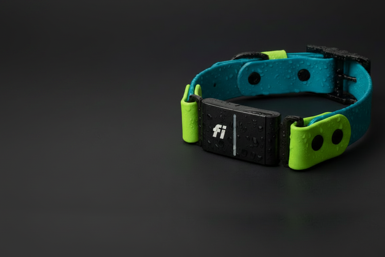 NEW INLINE COLLAR