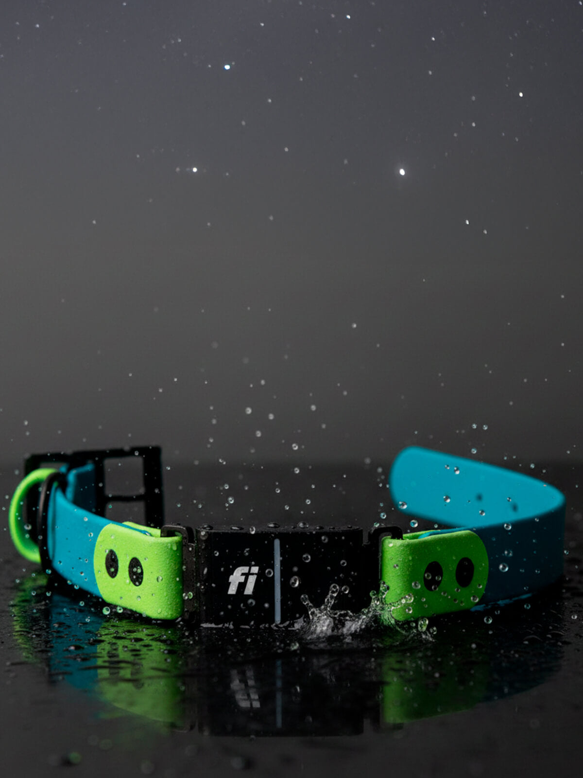 NEW INLINE COLLAR