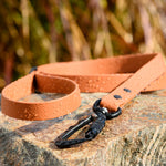 Waterproof dog leash in caramel color with water droplets and black carabiner on stone surface