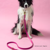 BioThane® Waterproof Dog Leash - Magenta