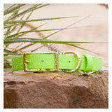 Vivid Canine BioThane® waterproof buckle dog collar lime - durable outdoor pet gear available in XS-XL sizes