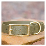 Vivid Canine BioThane® waterproof buckle dog collar olive - durable outdoor pet gear available in XS-XL sizes