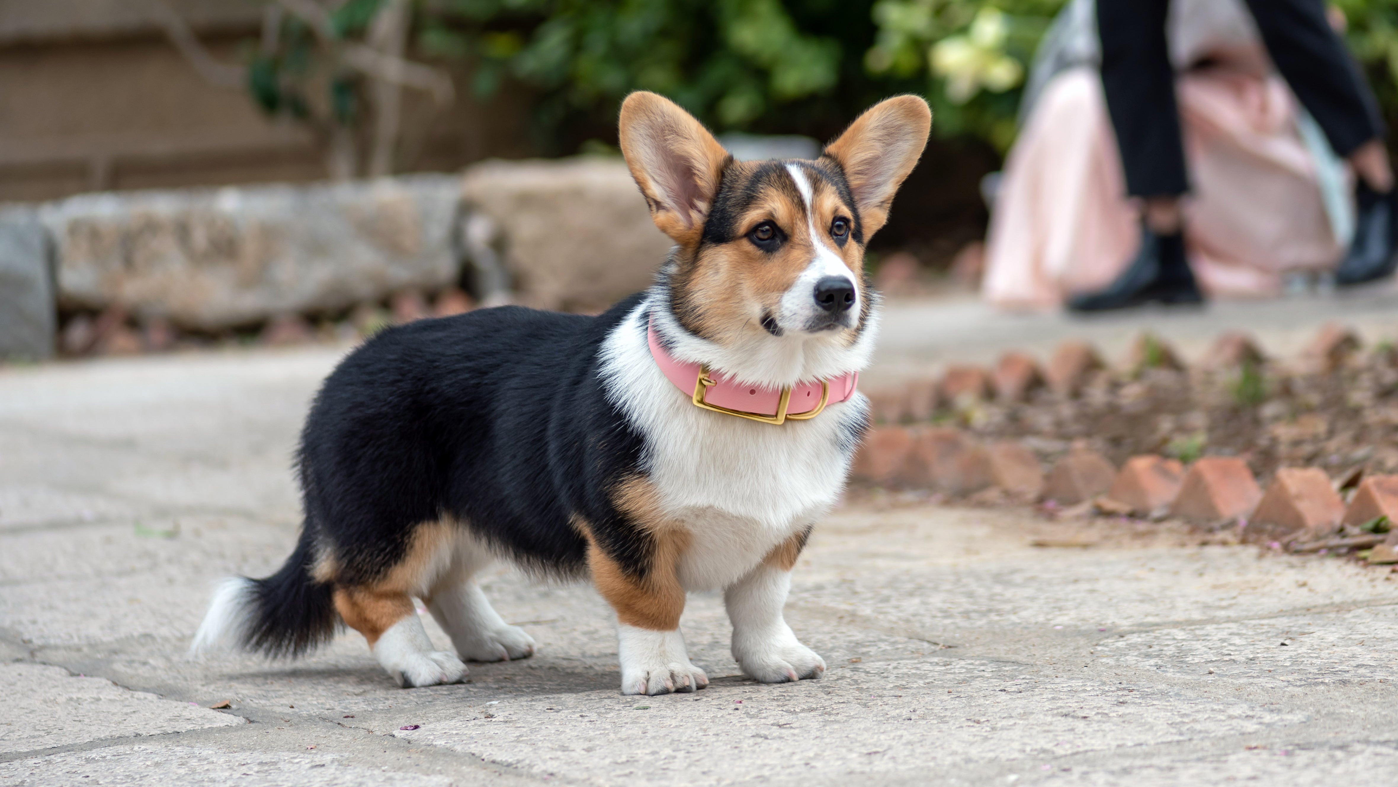 Tough Looks Good in Pastel.