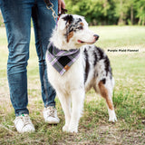 Dog Bandana - Purple Plaid