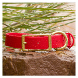Vivid Canine BioThane® waterproof buckle dog collar red - durable outdoor pet gear available in XS-XL sizes
