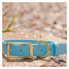 Vivid Canine BioThane® waterproof buckle dog collar sky blue - durable outdoor pet gear available in XS-XL sizes