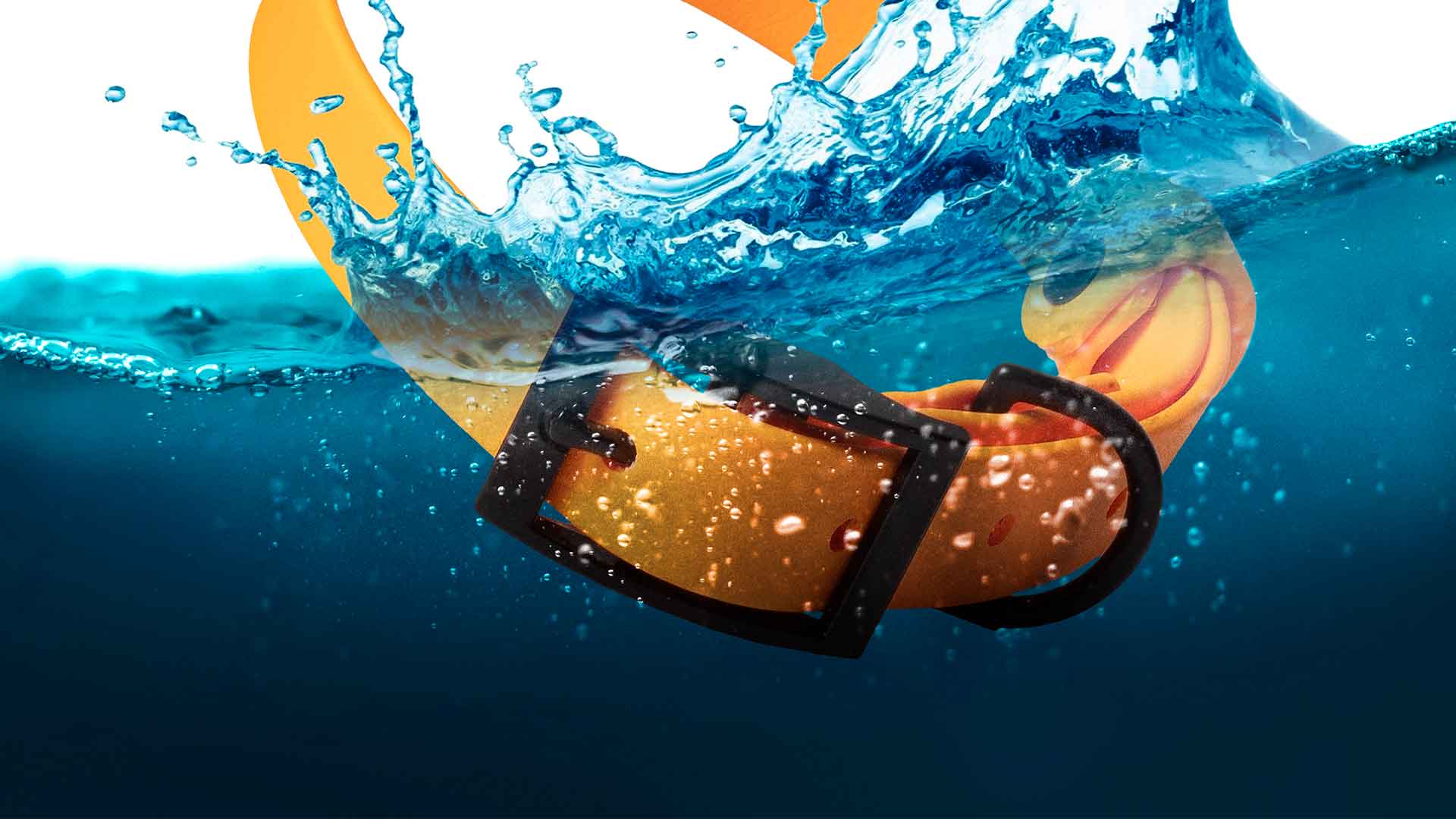 Durable BioThane dog collar submerged in water