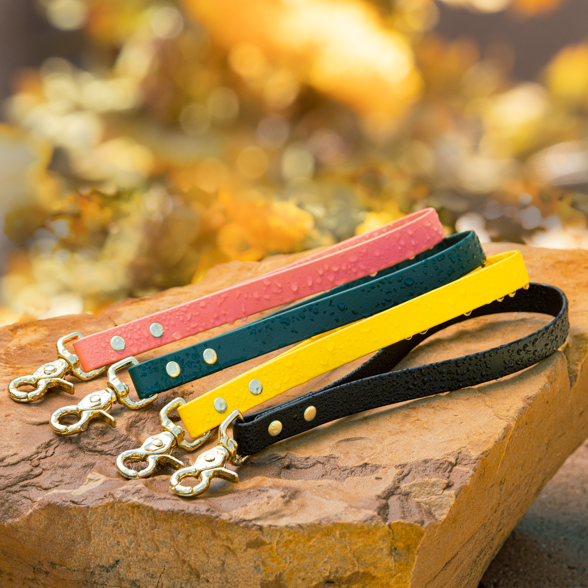 BioThane waterproof traffic handles in multiple colors - premium dog training equipment