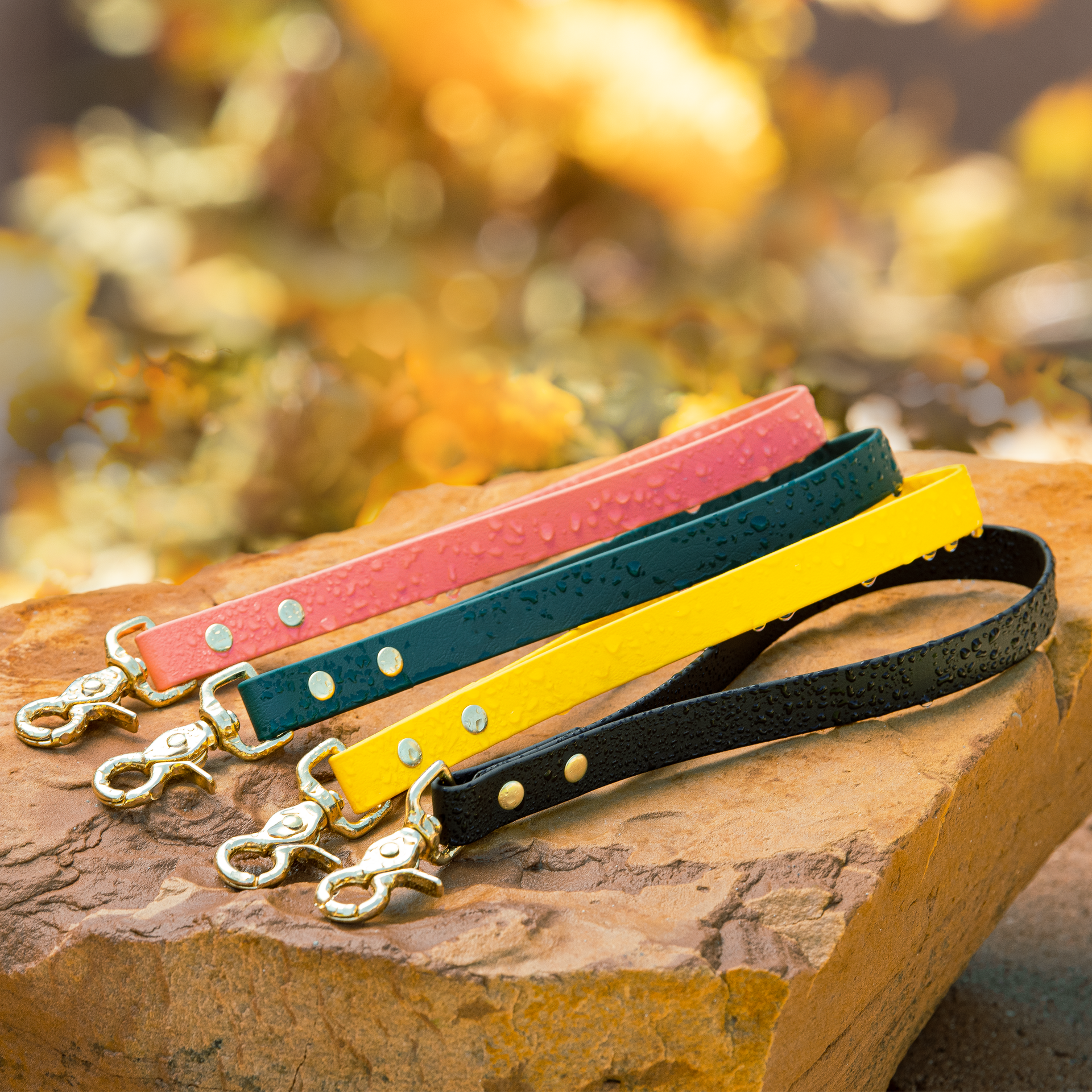BioThane Waterproof Traffic Handle | Vivid Canine