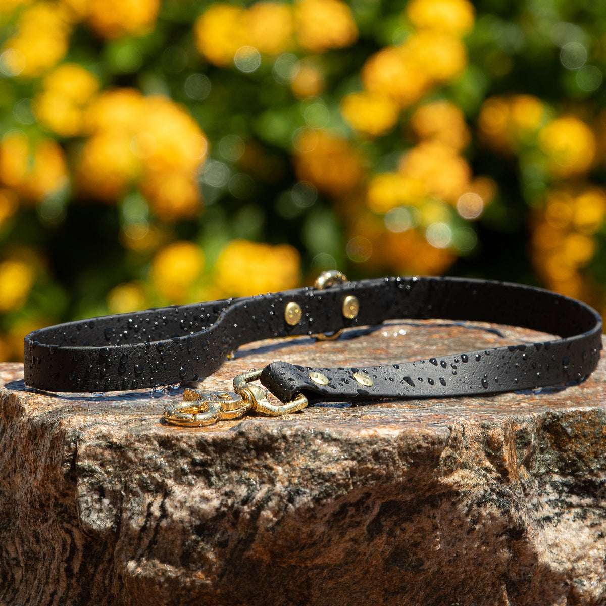 Black waterproof traffic leash with brass hardware - BioThane short dog lead