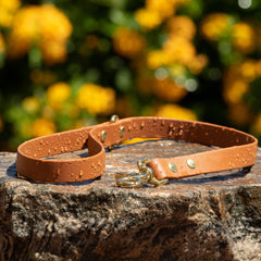 BioThane waterproof traffic leash in caramel brown with brass hardware - USA made short dog lead