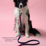 BioThane® Waterproof Two Tone Dog Leash