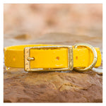 Vivid Canine BioThane® waterproof buckle dog collar yellow - durable outdoor pet gear available in XS-XL sizes