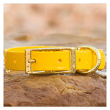Vivid Canine BioThane® waterproof buckle dog collar yellow - durable outdoor pet gear available in XS-XL sizes