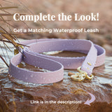 BioThane® Waterproof Buckle Dog Collar - Lilac