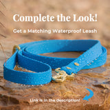 BioThane® Waterproof Buckle Dog Collar - Azure