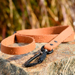 a pair of leather leashes sitting on a rock