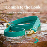 BioThane® Waterproof Buckle Dog Collar - Teal