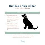 BioThane® Waterproof Slip Collar - Emerald