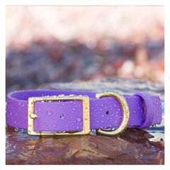 BioThane® Waterproof Buckle Dog Collar - Amethyst