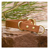 BioThane® Waterproof Slip Collar - Caramel