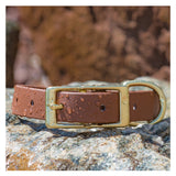 BioThane® Waterproof Buckle Dog Collar - Chocolate