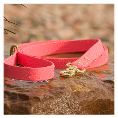 BioThane® Waterproof Dog Leash - Coral